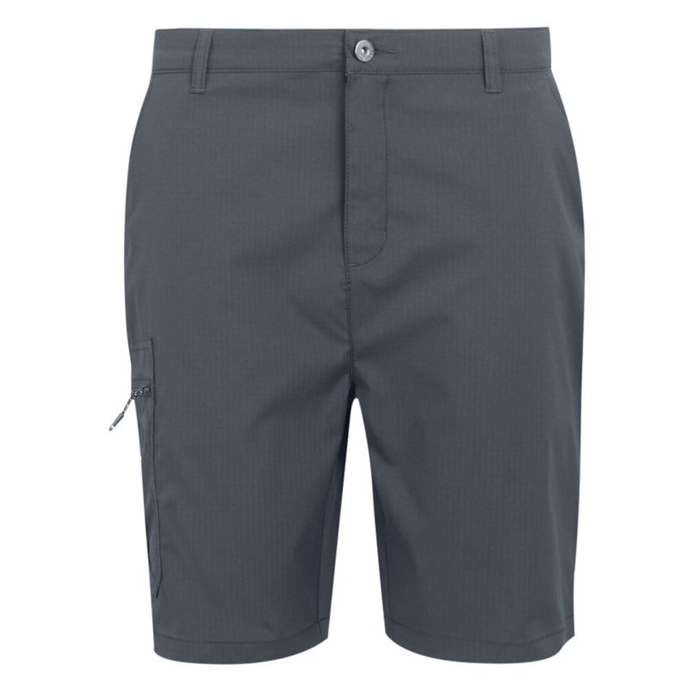 Regatta Mens Dalry Multi Pocket Shorts / Seal Grey